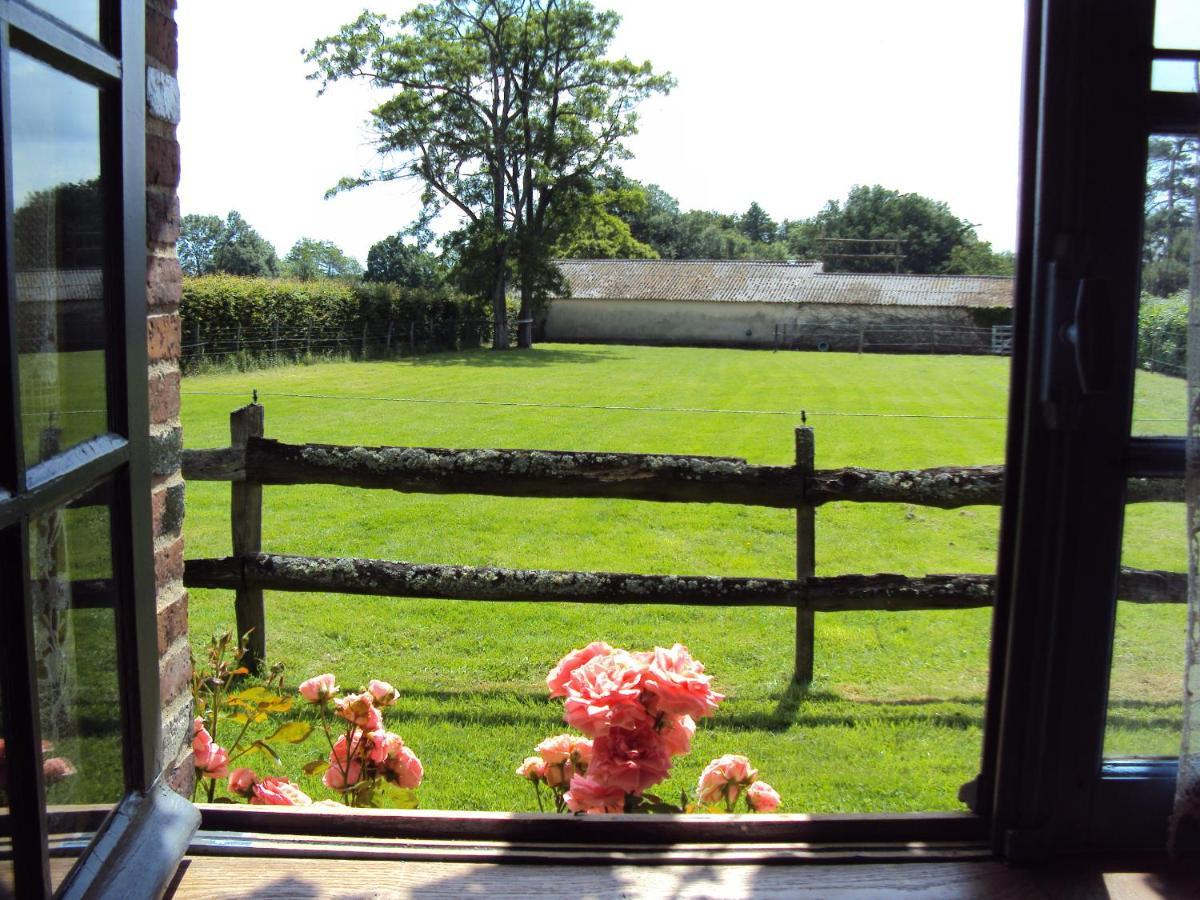 Bed and Breakfast La PASTORALE La Puisaye Exterior foto